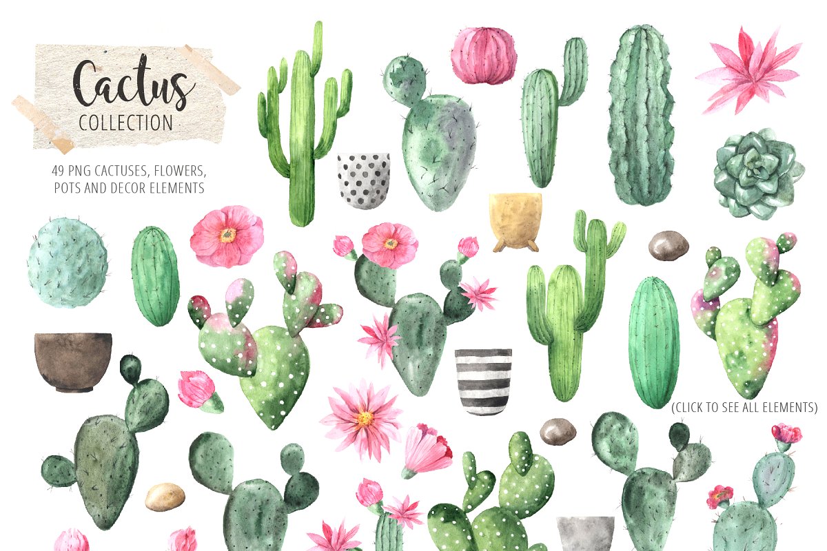 时尚仙人掌花卉金线水彩插画合集 Watercolor Exotic Cactus Collection_img_2