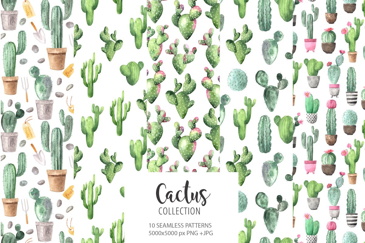 时尚仙人掌花卉金线水彩插画合集 Watercolor Exotic Cactus Collection_img_2