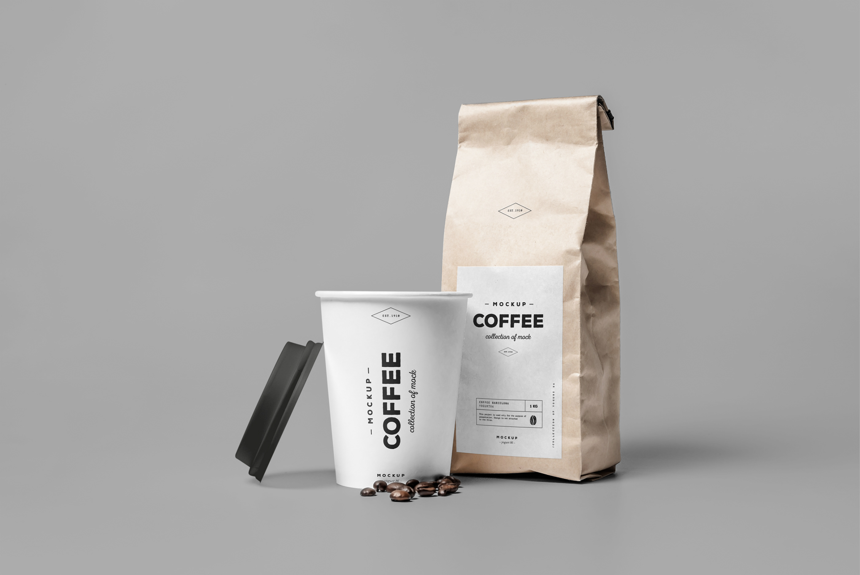 咖啡包装袋外观设计展示样机模板 Coffee Mockup_img_2