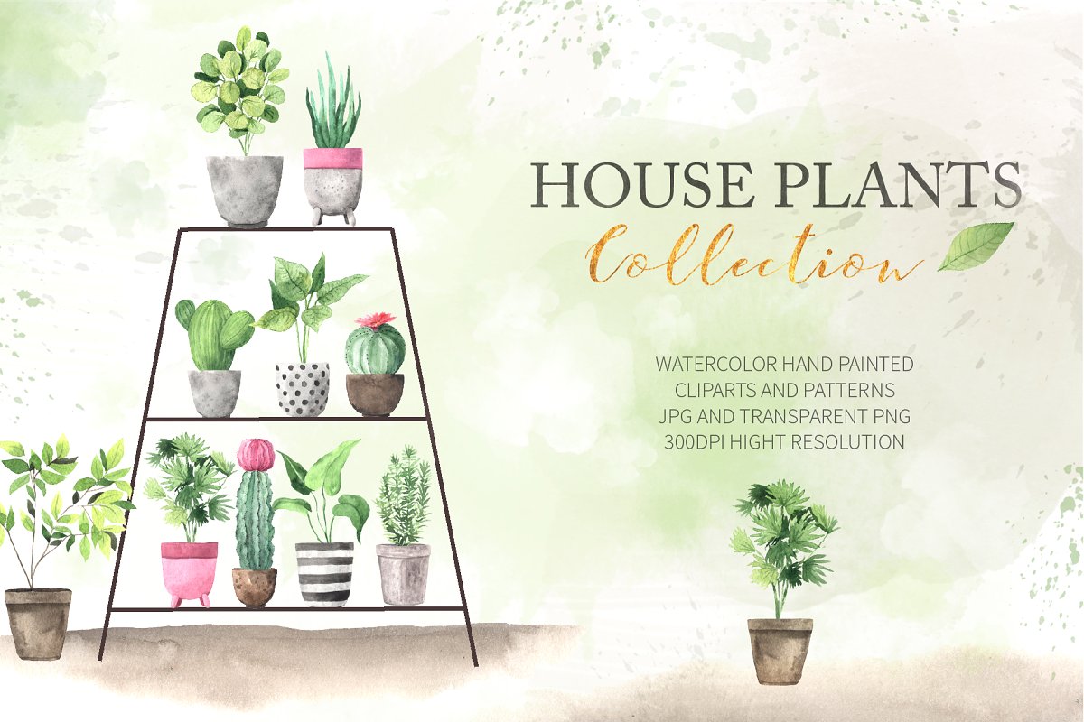 时尚手绘室内植物元素水彩剪贴画 Watercolor House Plants Collection_img_2