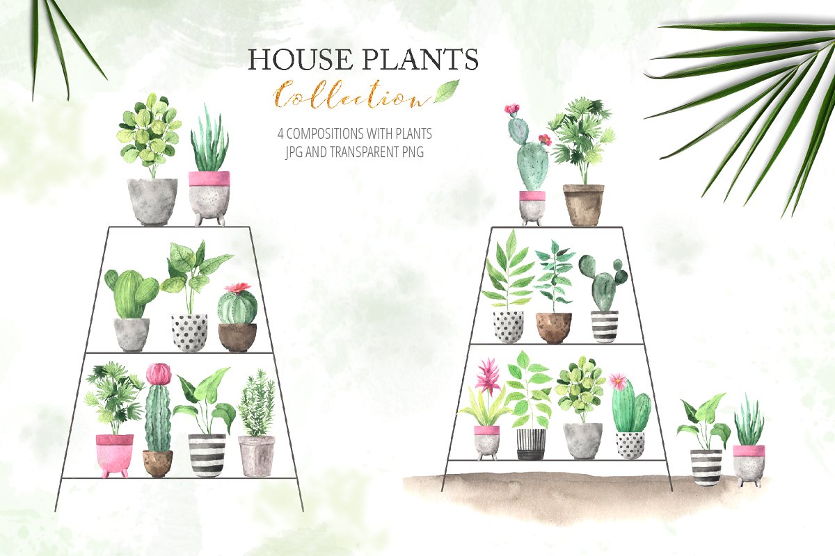 时尚手绘室内植物元素水彩剪贴画 Watercolor House Plants Collection_img_2