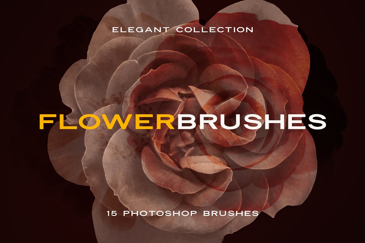 15个典雅美丽花朵花卉PS笔刷 Elegant Flower Brushes for Photoshop_img_2