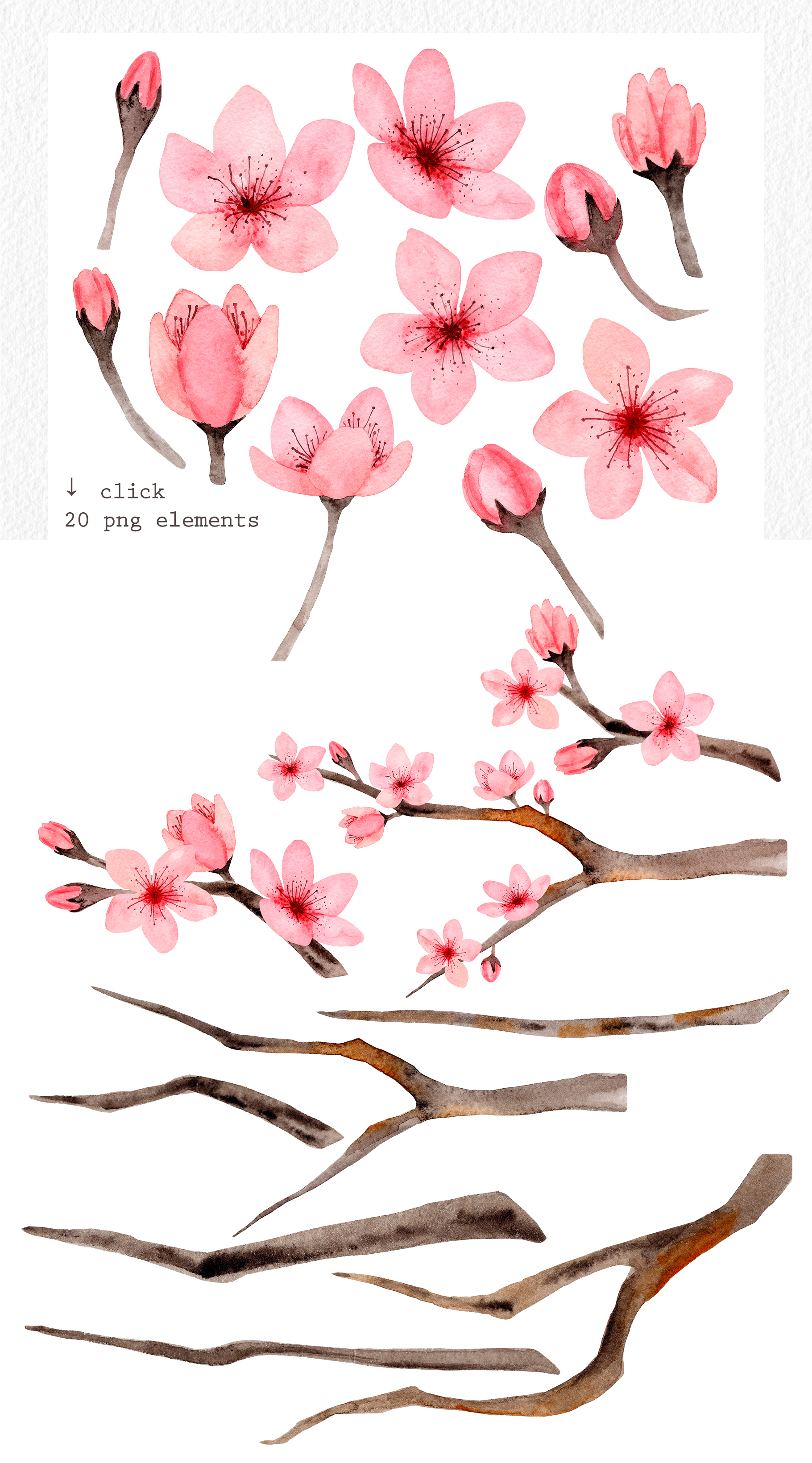 粉红樱花手绘水彩剪贴画集 Watercolor Cherry Blossom. Patterns_img_2