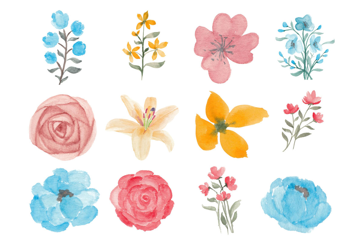 357款花卉水彩手绘插图剪贴画素材包 357 Flower and Floral Watercolor Illustration Clip Art_img_2