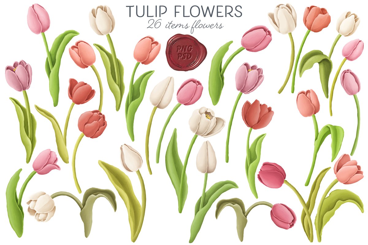 郁金香花卉手绘水彩剪贴画集合 Tulip Flowers, Patterns, Borders_img_2