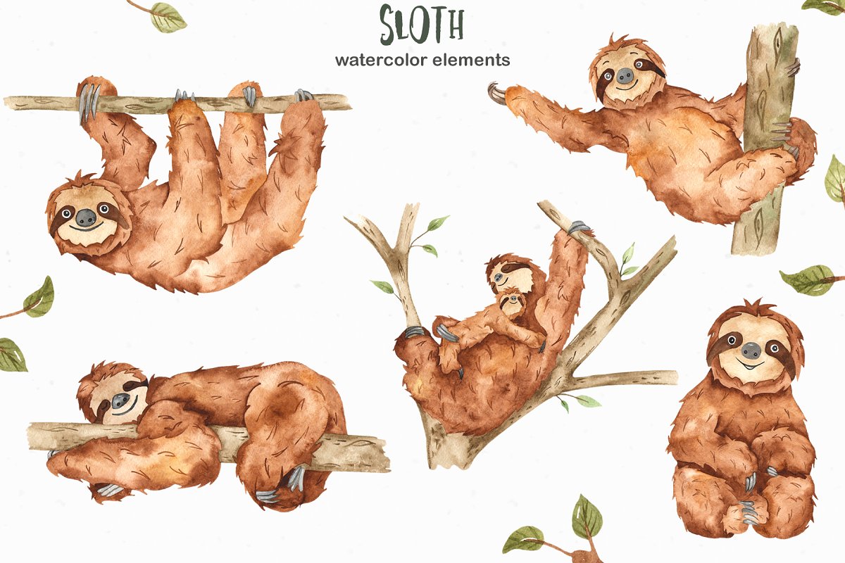 可爱树懒/热带植物手绘水彩画集合 Cute Sloth Watercolor Collection_img_2