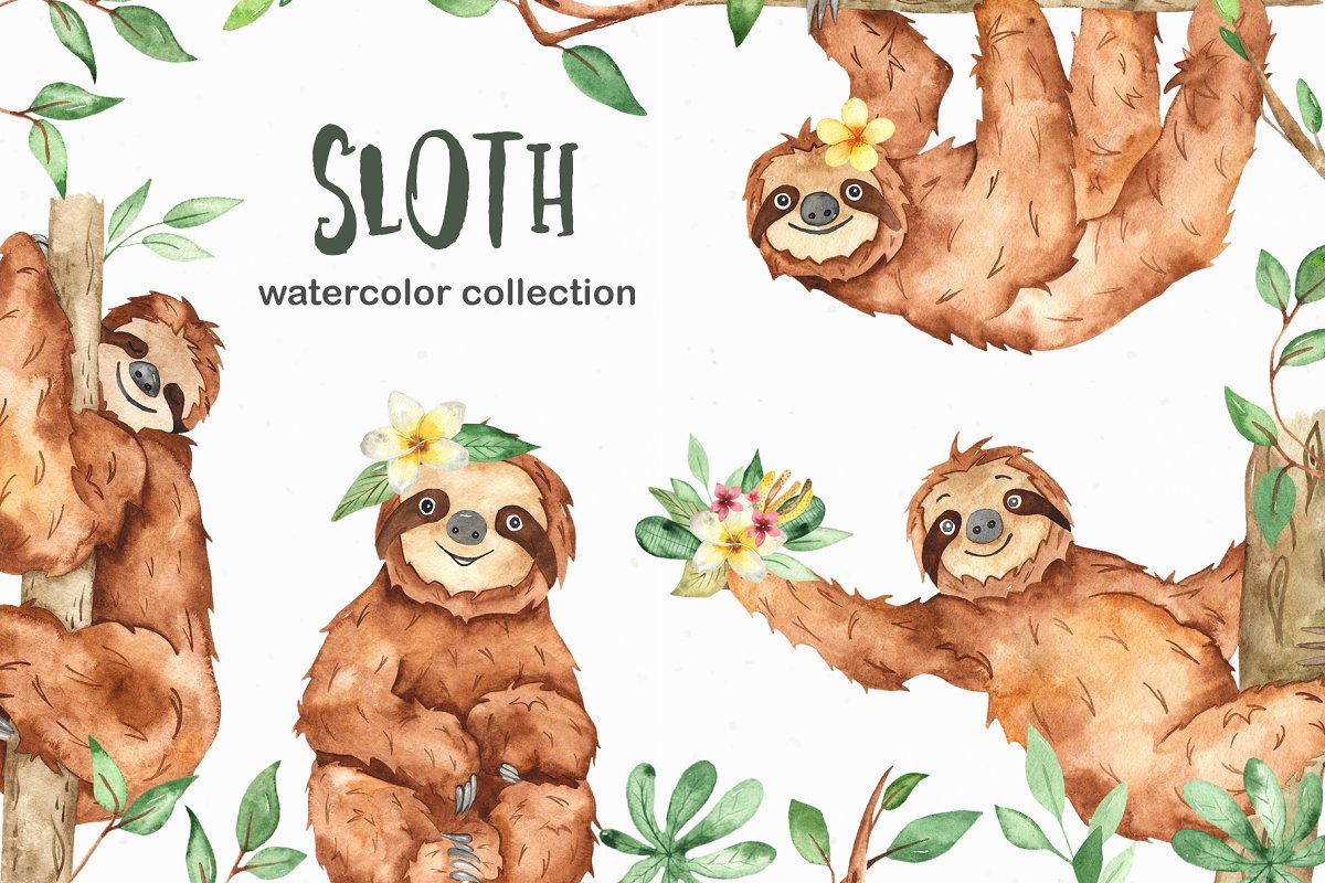 可爱树懒/热带植物手绘水彩画集合 Cute Sloth Watercolor Collection_img_2