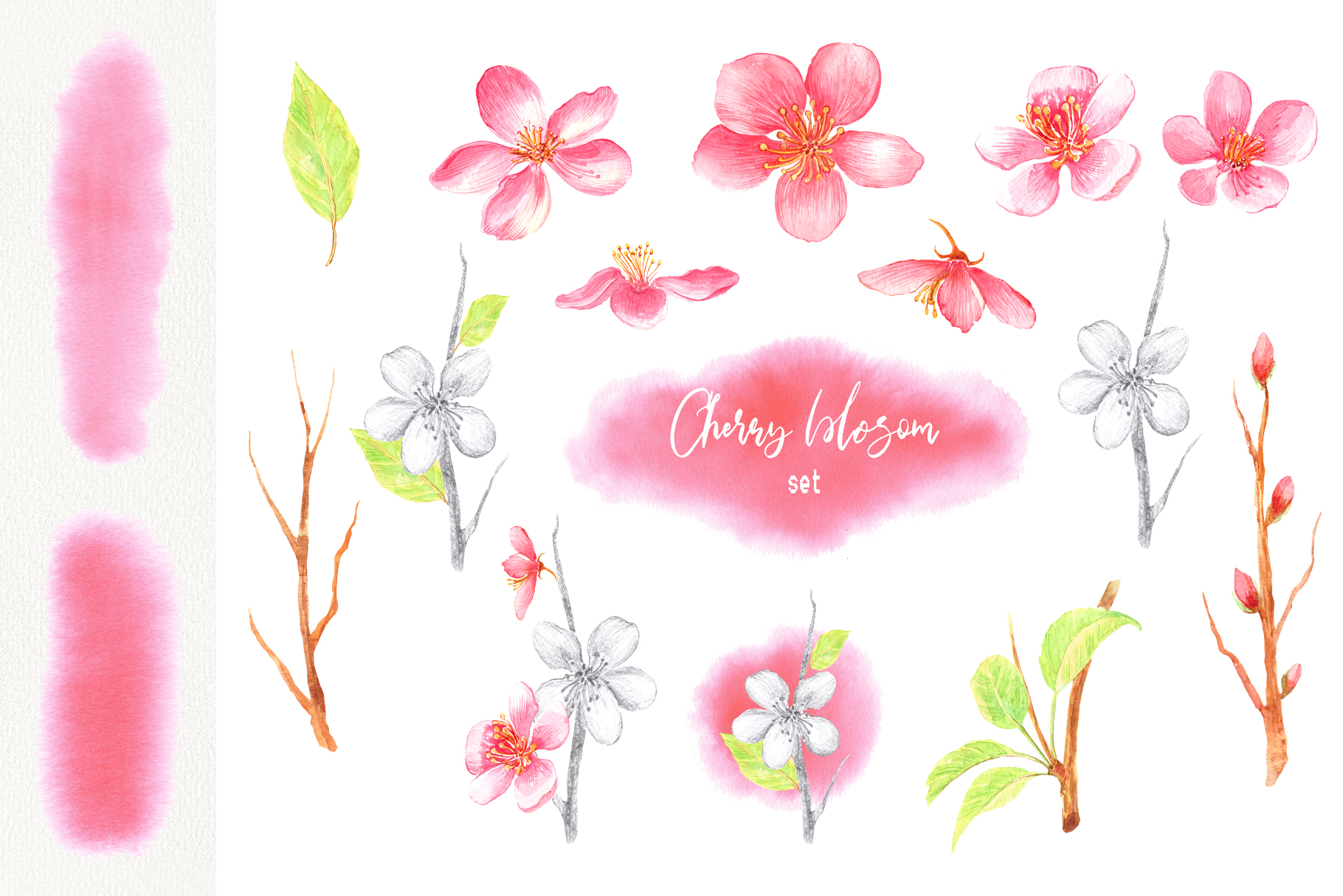 春天主题花卉手绘剪贴画集 Watercolor Spring Blossom Clip Art_img_2