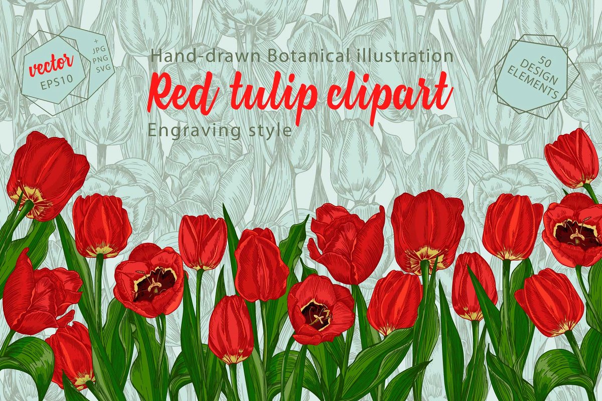 红色郁金香手绘矢量剪贴画合集 Red Tulips Vector Clipart_img_2