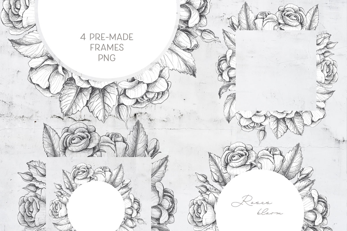 手绘素描效果玫瑰花剪贴画集合 Sketched Roses, Patterns, Frames_img_2