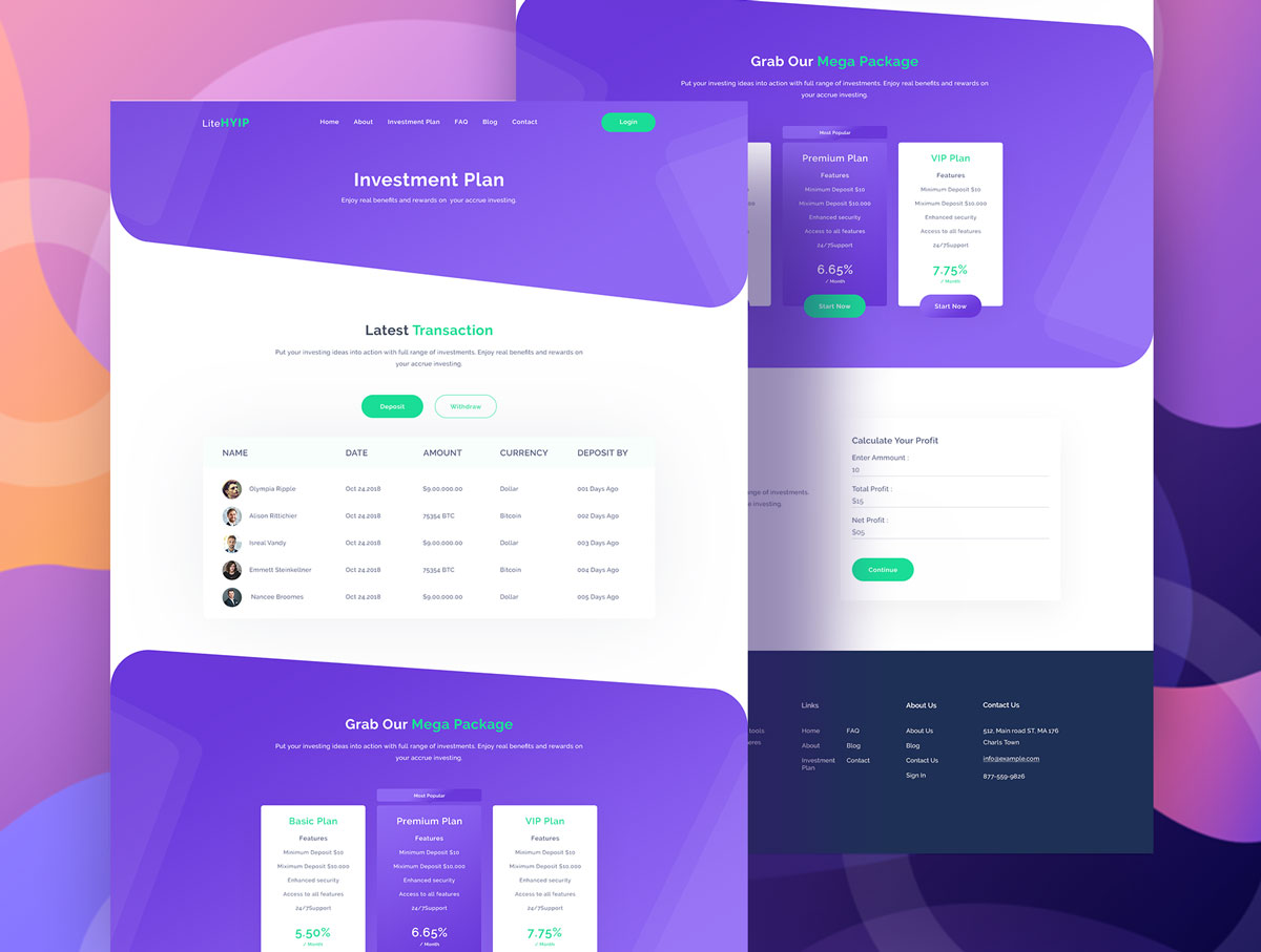 现代时尚金融投资网站设计模板 LiteHYIP – HYIP Investment Website Template_img_2