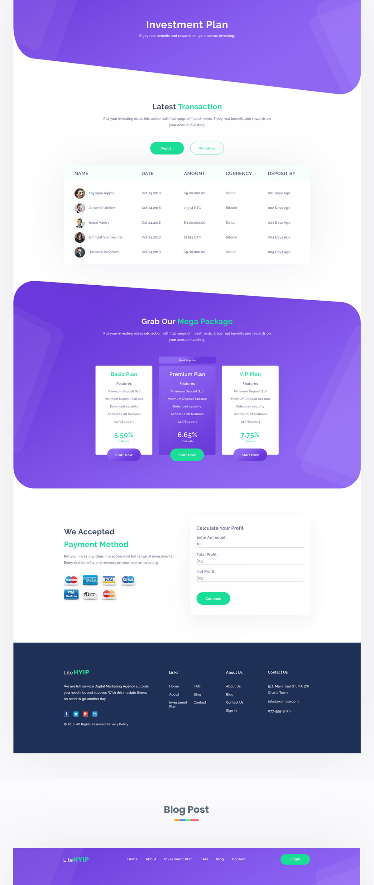 现代时尚金融投资网站设计模板 LiteHYIP – HYIP Investment Website Template_img_2