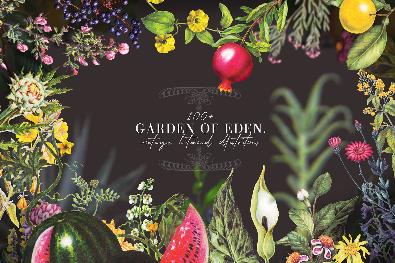 复古手绘水彩植物花卉水果剪贴画合集 Garden of Eden- Vintage Botanical Illustrations Set_img_2