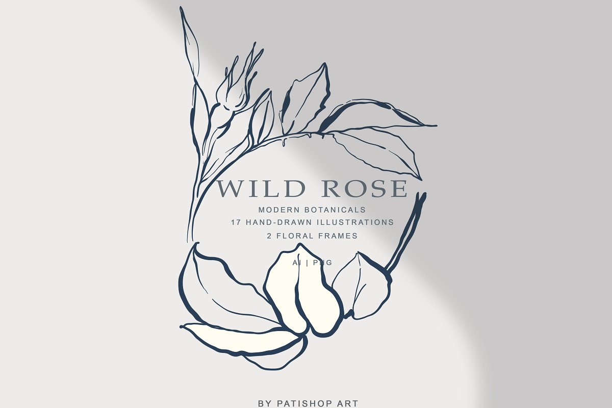 现代手绘玫瑰花简笔画矢量线稿图合集 Modern Hand Drawn Wild Rose Illustr_img_2