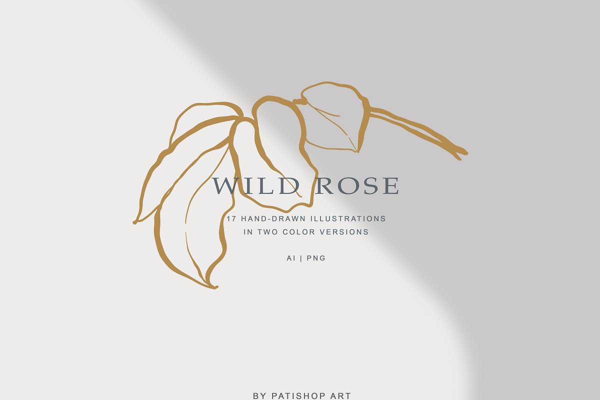 现代手绘玫瑰花简笔画矢量线稿图合集 Modern Hand Drawn Wild Rose Illustr_img_2