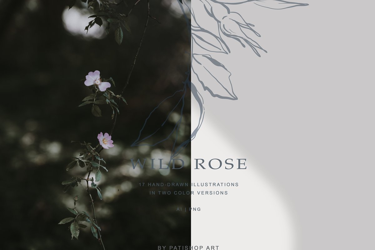 现代手绘玫瑰花简笔画矢量线稿图合集 Modern Hand Drawn Wild Rose Illustr_img_2