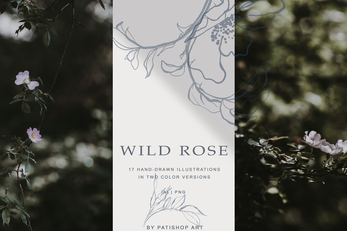 现代手绘玫瑰花简笔画矢量线稿图合集 Modern Hand Drawn Wild Rose Illustr_img_2