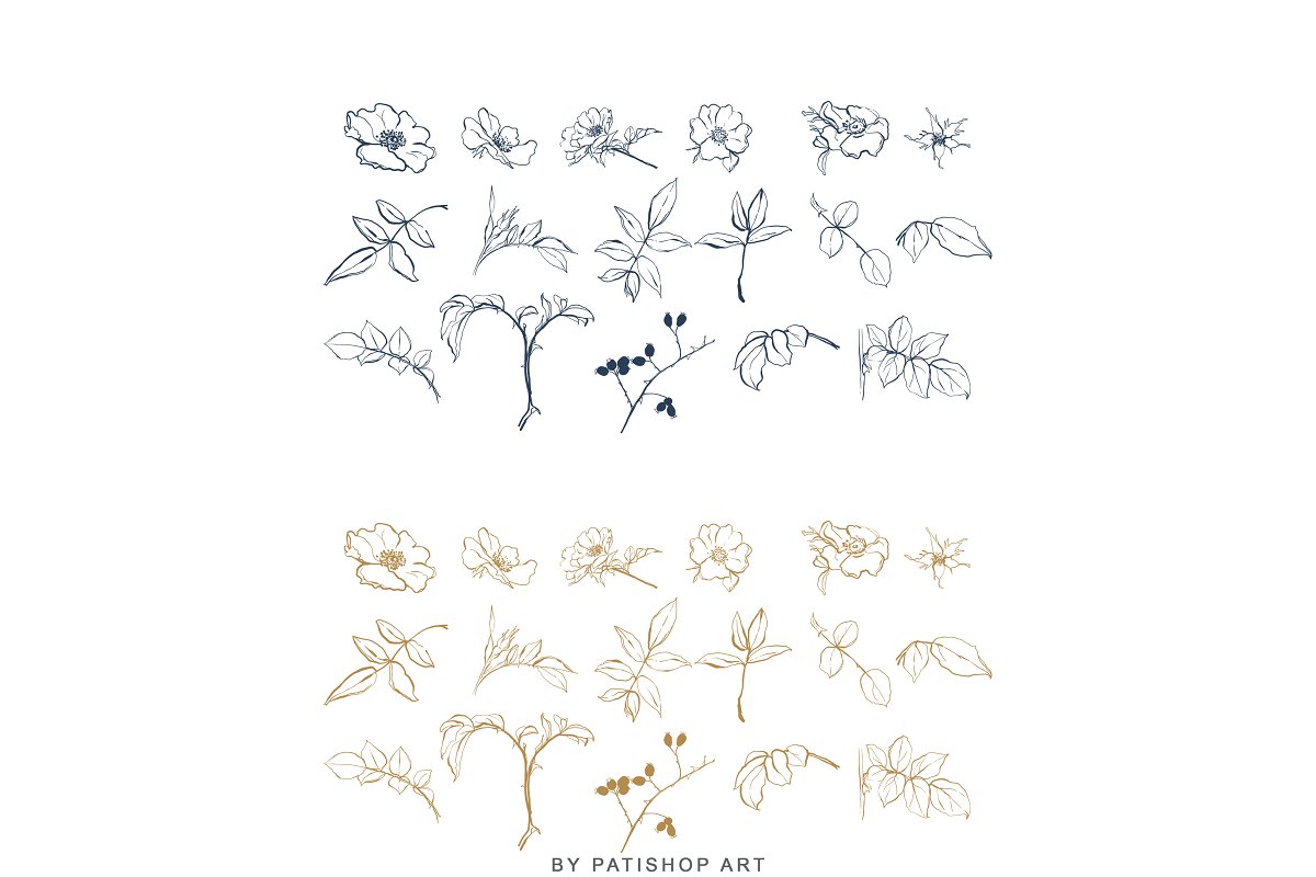 现代手绘玫瑰花简笔画矢量线稿图合集 Modern Hand Drawn Wild Rose Illustr_img_2