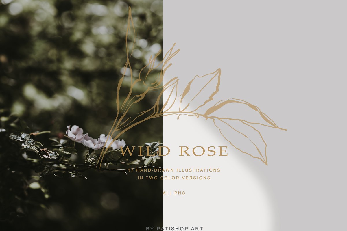 现代手绘玫瑰花简笔画矢量线稿图合集 Modern Hand Drawn Wild Rose Illustr_img_2