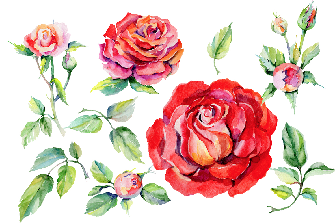 鲜艳玫瑰红色花卉水彩剪贴画套装 Roses Red PNG Watercolor Flower Set_img_1