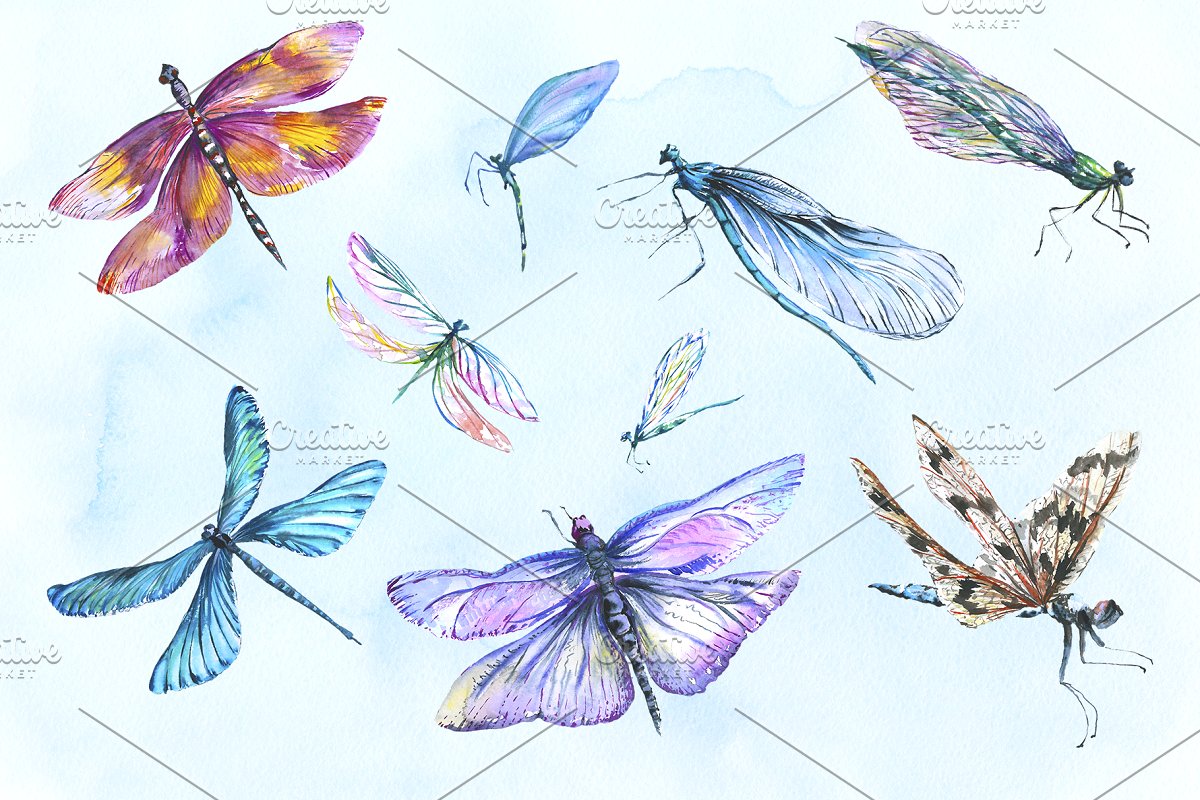 多彩手绘蜻蜓水彩剪贴画素材包 Dragonfly Illustration Watercolor_img_1