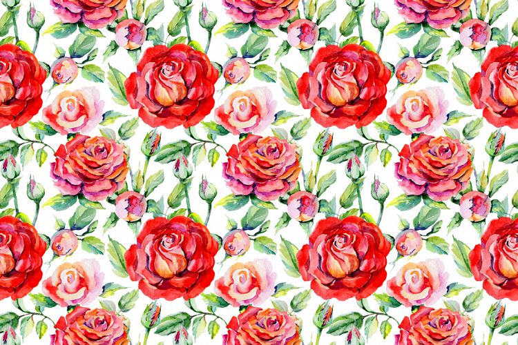 鲜艳玫瑰红色花卉水彩剪贴画套装 Roses Red PNG Watercolor Flower Set_img_1