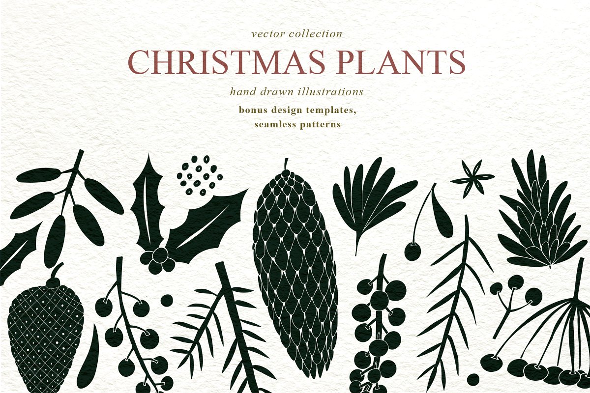 手绘圣诞节植物AI矢量设计素材插图 Christmas Plants Vector Collection_img_1