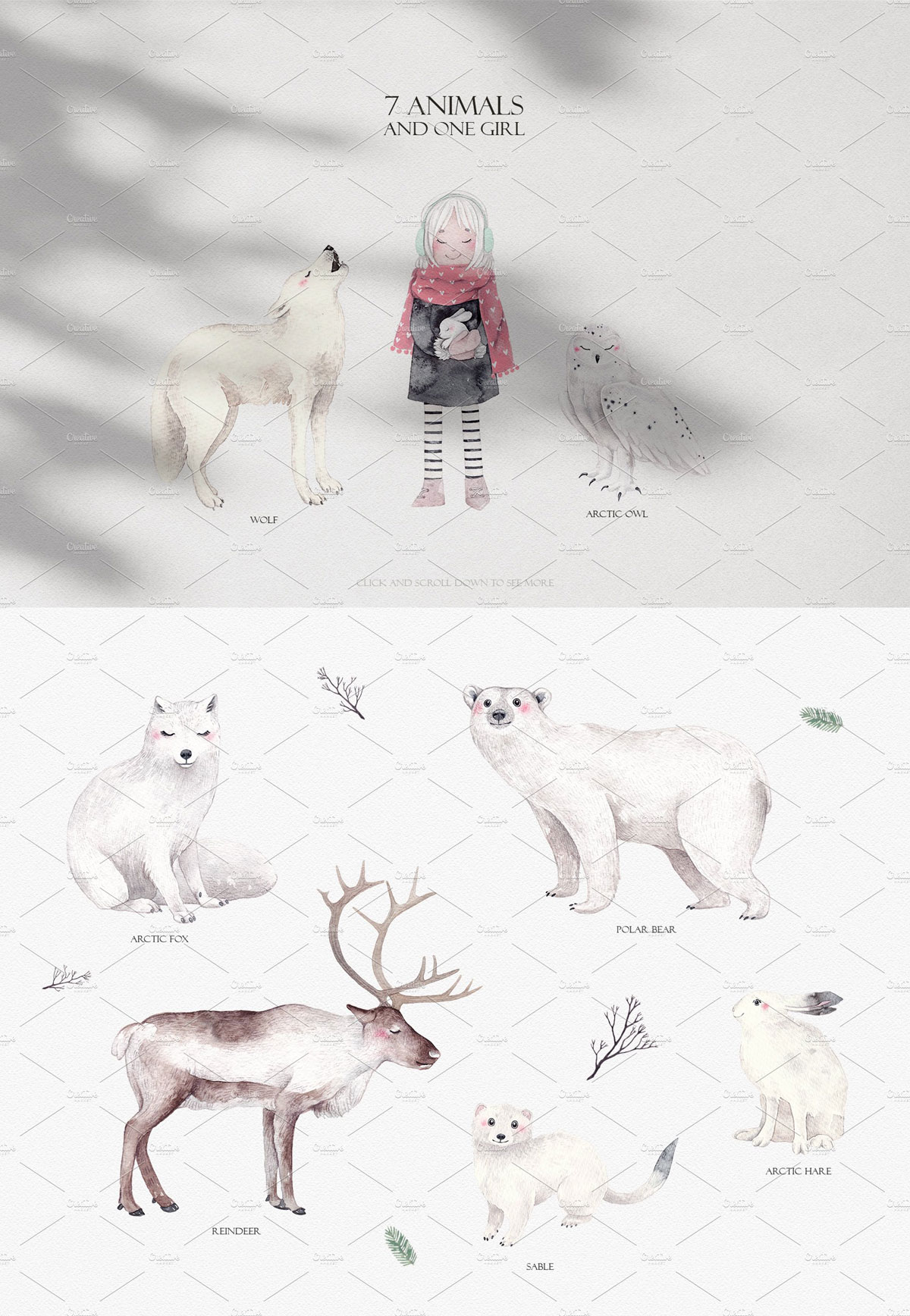 圣诞节主题北极熊女孩&驯鹿手绘水彩剪贴画合集 ARCTIC ANIMALS Watercolor Set PART 1_img_1