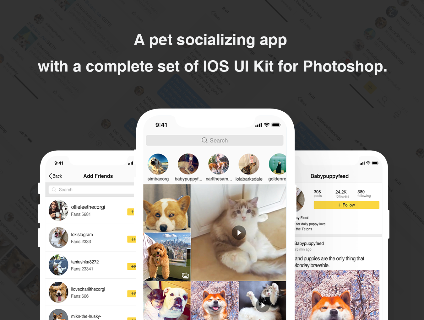 宠物社交应用程序iOS软件APP UI设计套件 Pet Story UI Kit_img_1