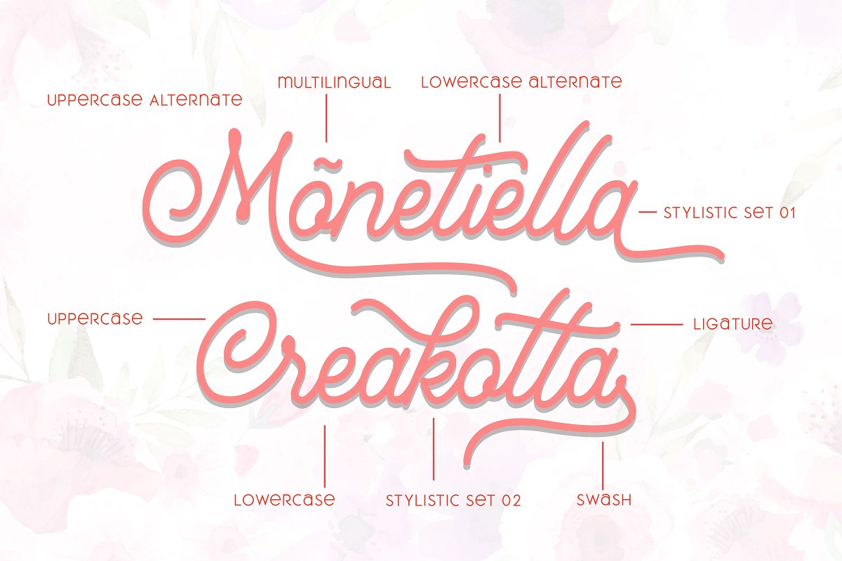 漂亮的单行手写徽标字体下载 Mountecarlo-Beautiful Monoline_img_2