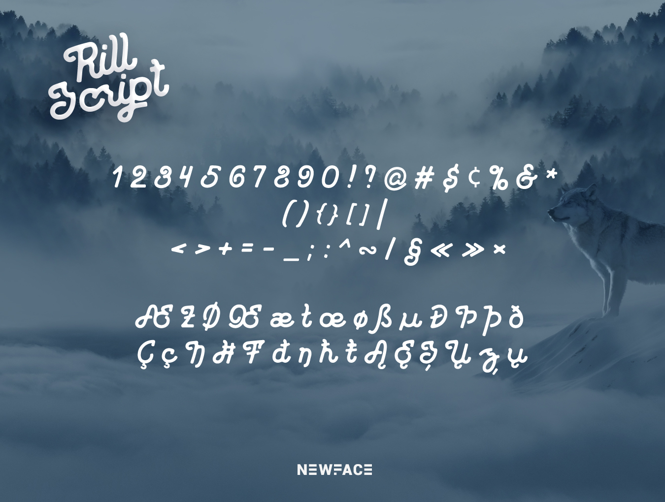 老式复古脚本拉丁语字体 Rill Script_img_2