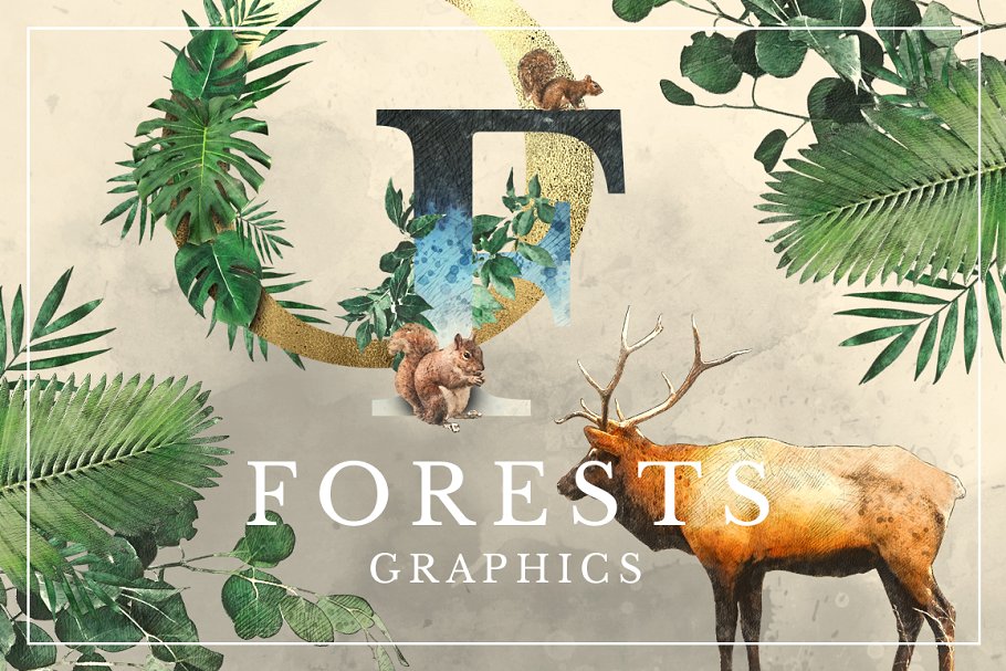 令人惊叹的自然和森林主题手绘插图合集 Forest Graphics Designer Kit_img_2