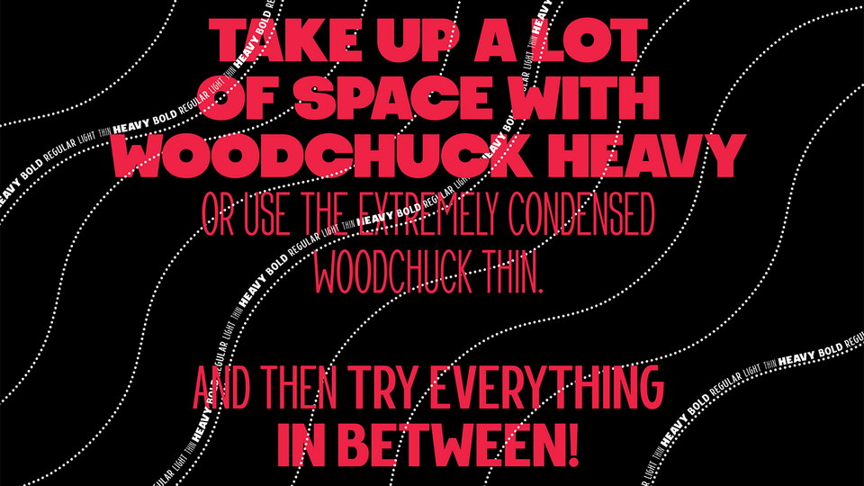 粗犷有力英文字体下载 Woodchuck - Sans Serif Font Family (5-Weights)_img_2