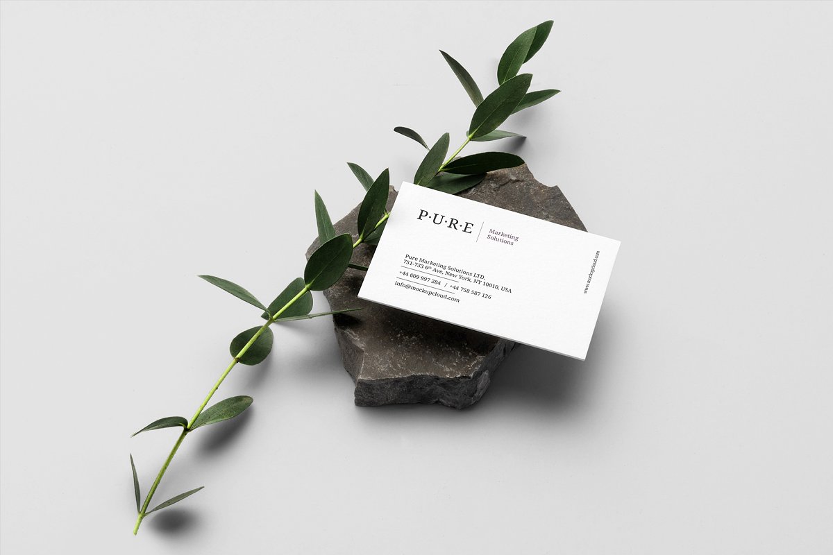 时尚优雅小清新品牌设计提案办公文创展示样机 Pure Branding Mockup Vol. 1_img_2