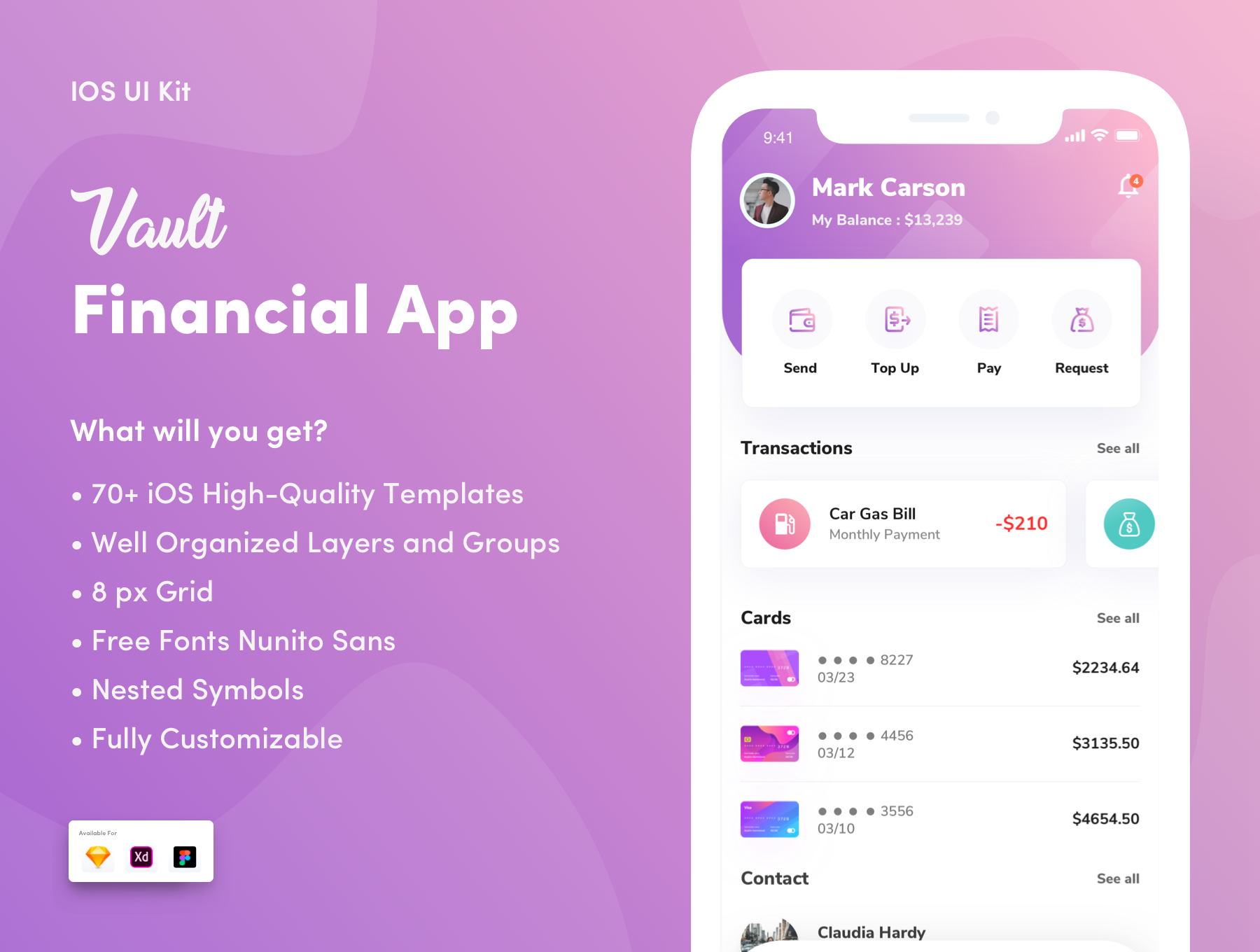 时尚财务管理信息统计分析iOS APP UI工具包 Vault - Financial App UI Kit_img_2