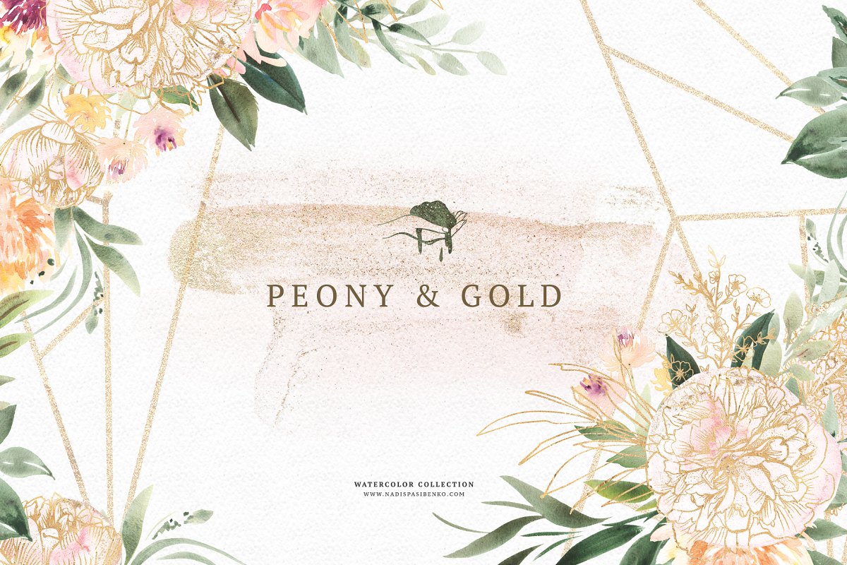 柔和多彩手绘水彩牡丹花圈&黄金线条 Watercolor Peony & Gold_img_2