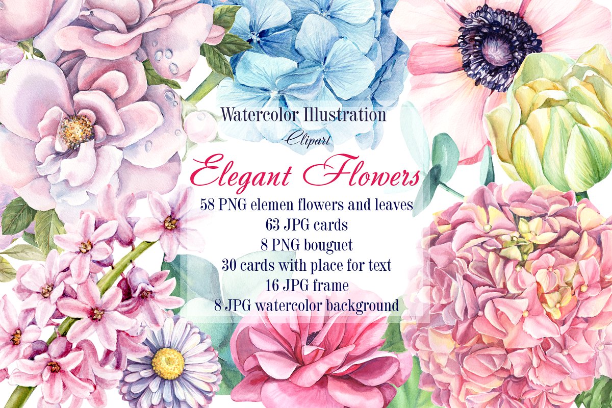 多用途手绘多种花卉水彩插画合集 Elegant Flowers_img_2