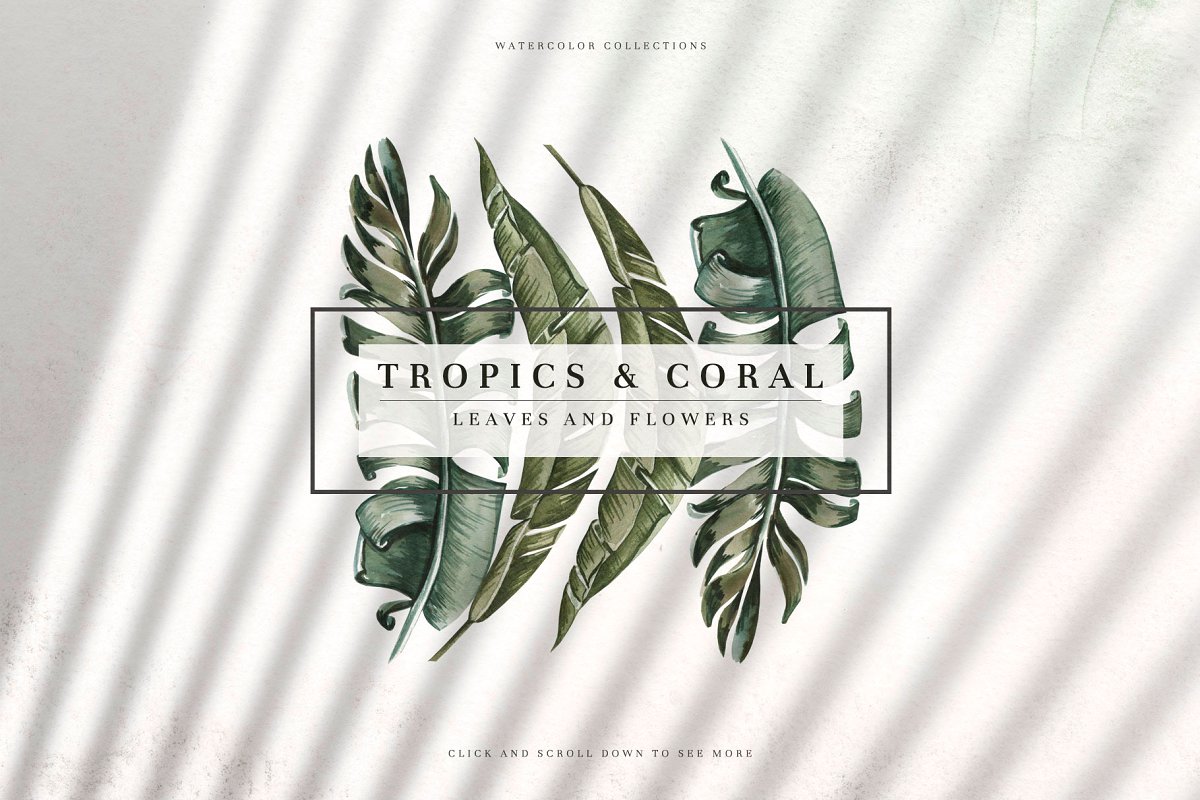 色彩鲜艳手绘热带植物竹叶牡丹香蕉棕榈水彩画集 Tropics & Coral Watercolor Set_img_2