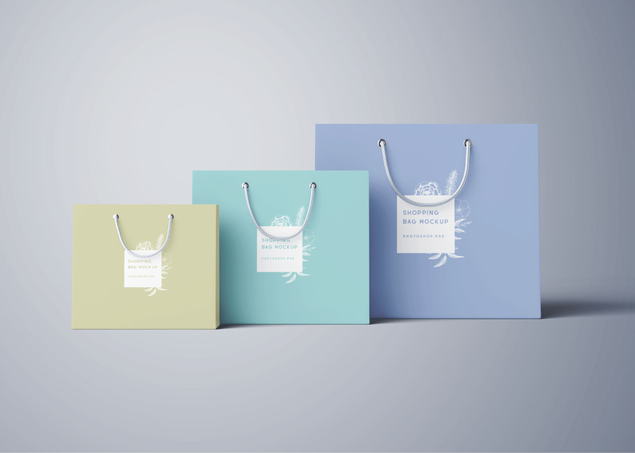 品牌设计提案商场纸质购物袋展示样机 Shopping Bag Mockup – PSD_img_2