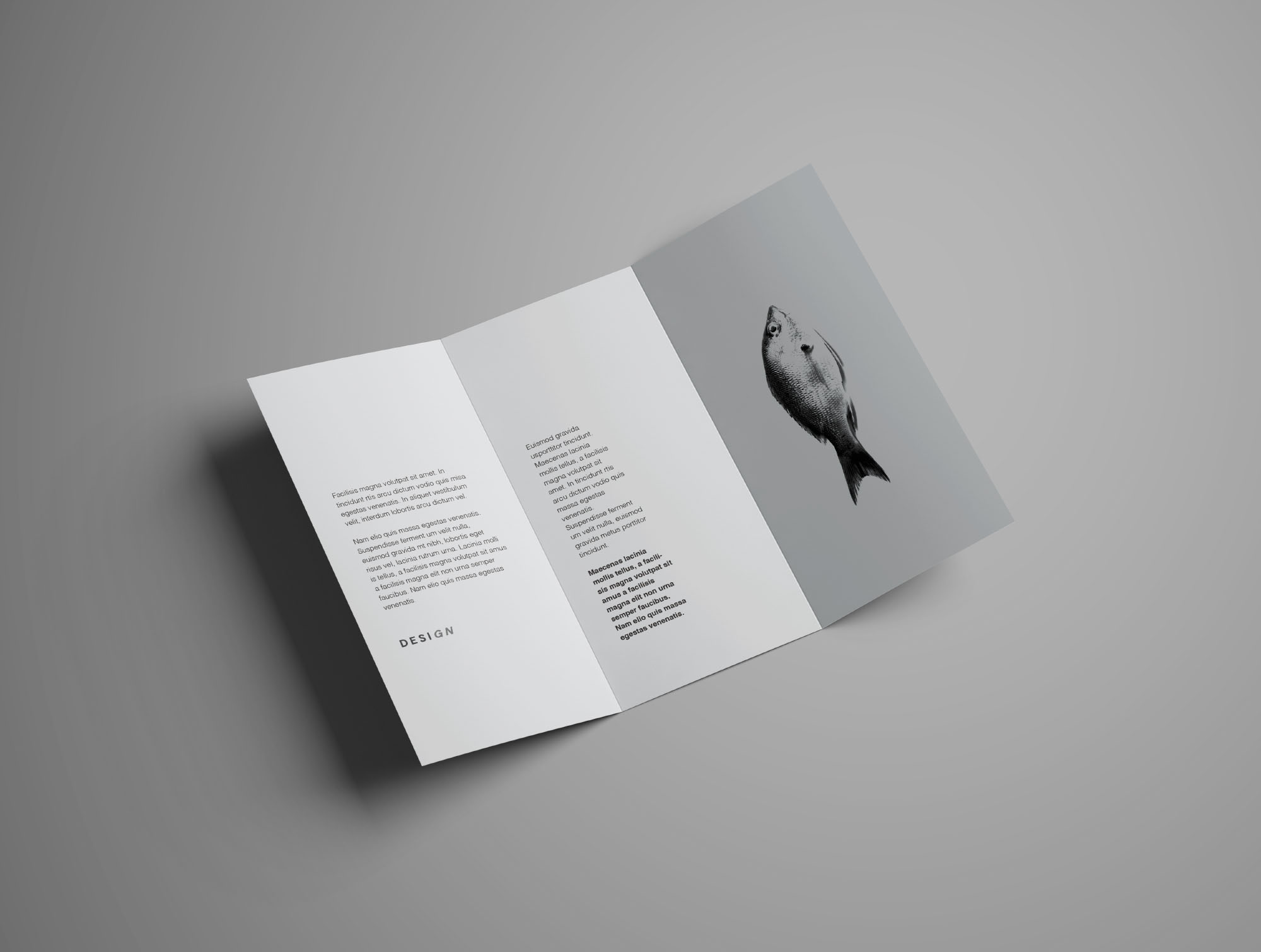 简约三折页画册宣传册展示样机 Advanced Trifold Brochure Mockup – 7 Angles_img_2