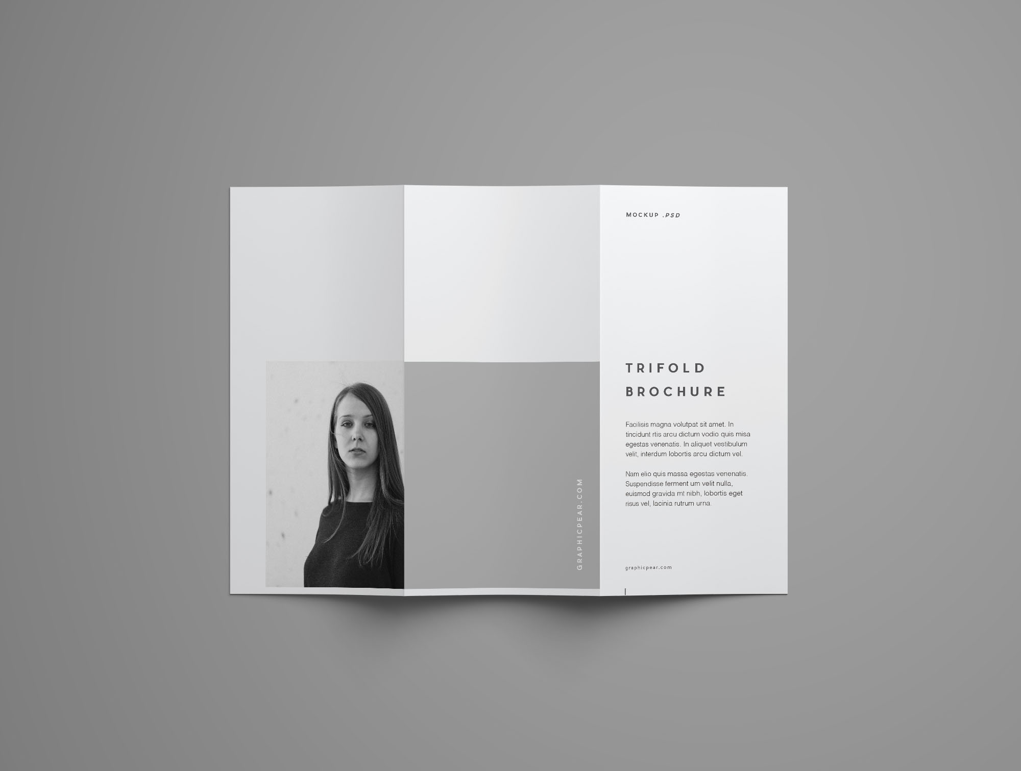简约三折页画册宣传册展示样机 Advanced Trifold Brochure Mockup – 7 Angles_img_2