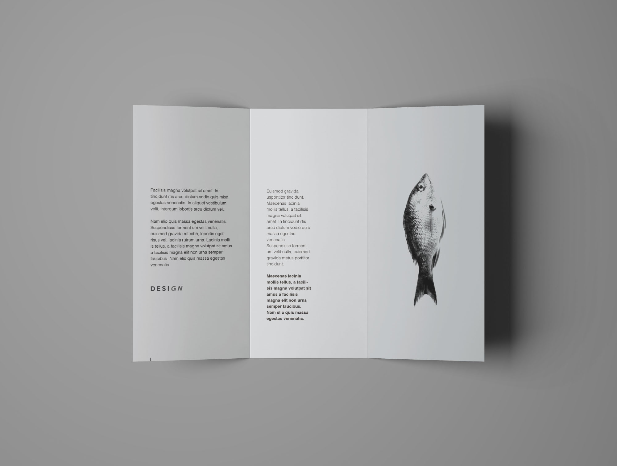 简约三折页画册宣传册展示样机 Advanced Trifold Brochure Mockup – 7 Angles_img_2