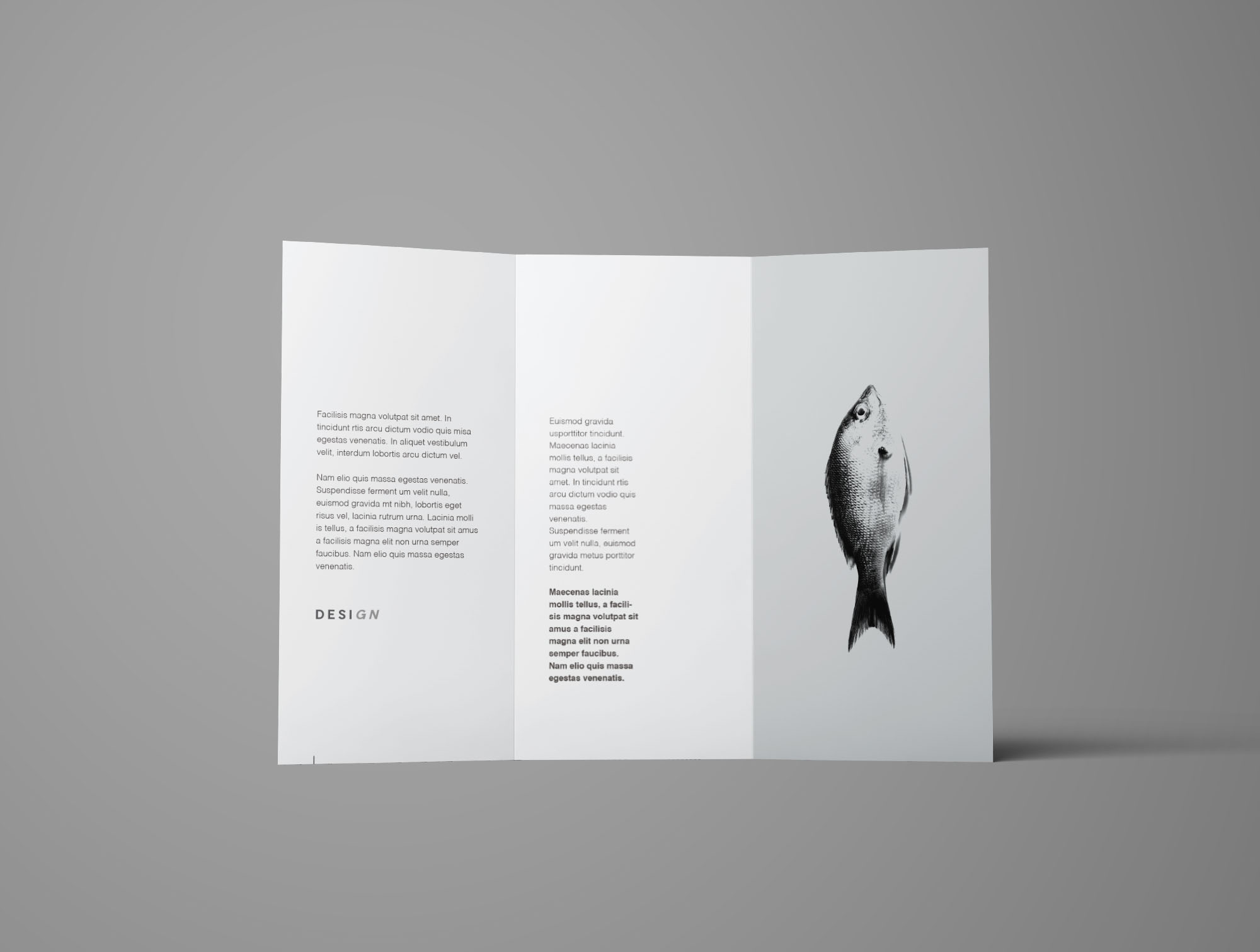 简约三折页画册宣传册展示样机 Advanced Trifold Brochure Mockup – 7 Angles_img_2