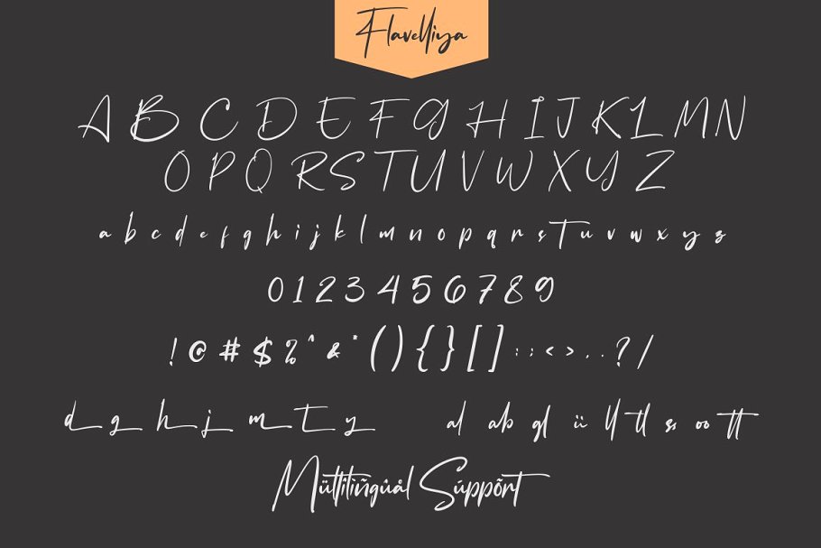 豪华手写签名品牌T恤标识字体 Flavellya - Luxury Signature Font_img_2