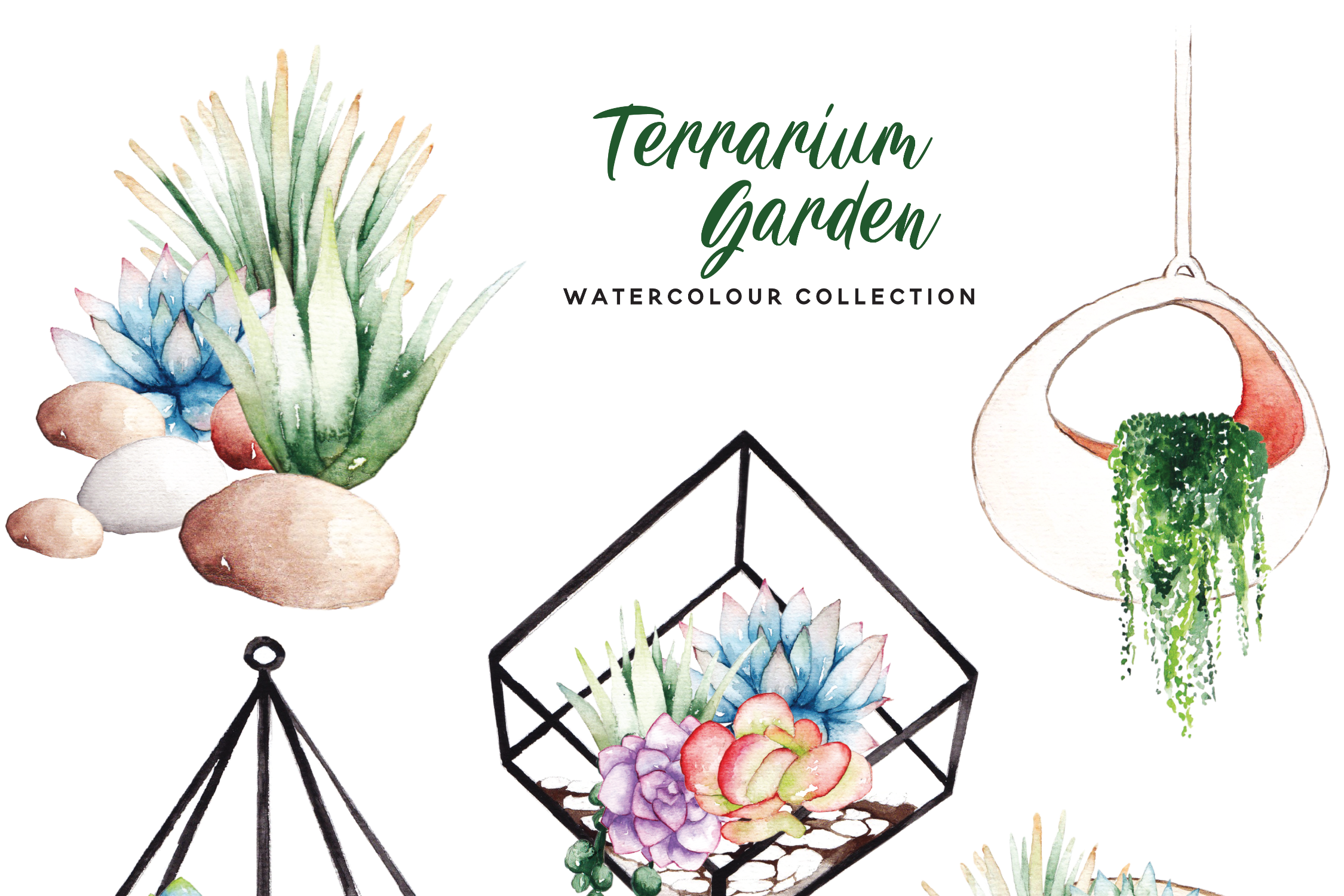 多彩手绘陶瓷装饰水彩PNG画集 Succulent Terrarium Watercolor_img_2