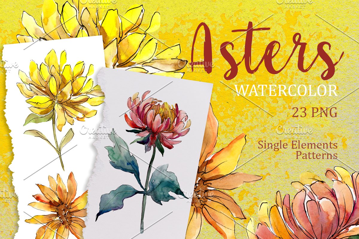 黄色紫苑水彩PNG花卉图集 Yellow Watercolor Asters PNG set_img_2