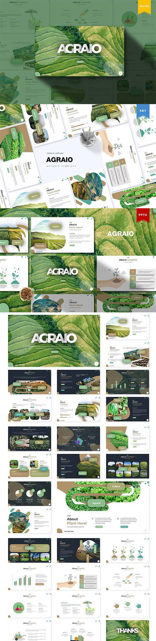 绿色农业食品介绍营销PPT模板KEY幻灯片SLIDES演示文稿 Agraio - Powerpoint, Keynote and Google Slides Templates_img_2