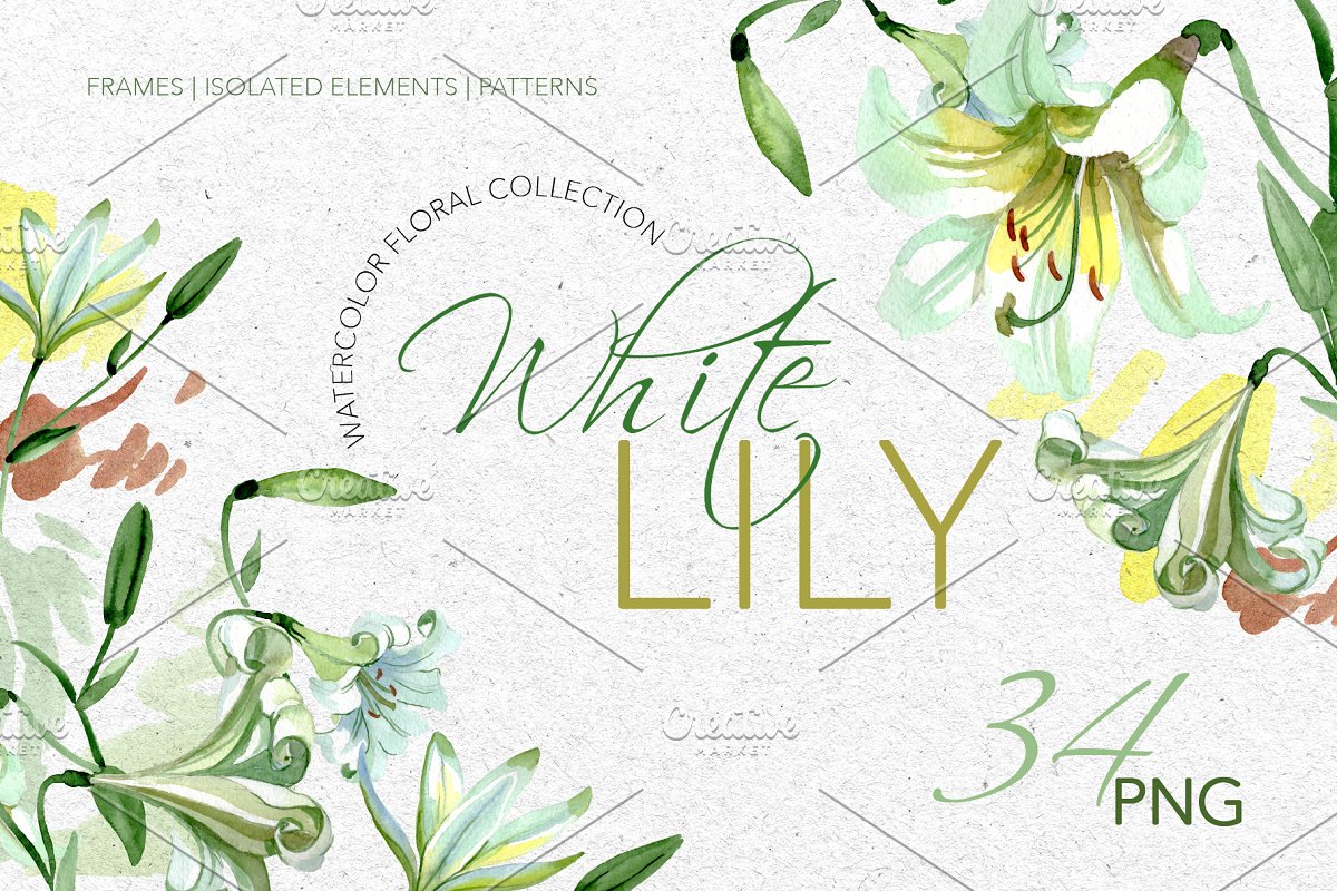 绿色手绘百合花PNG图集 White Lily Watercolor Png_img_2