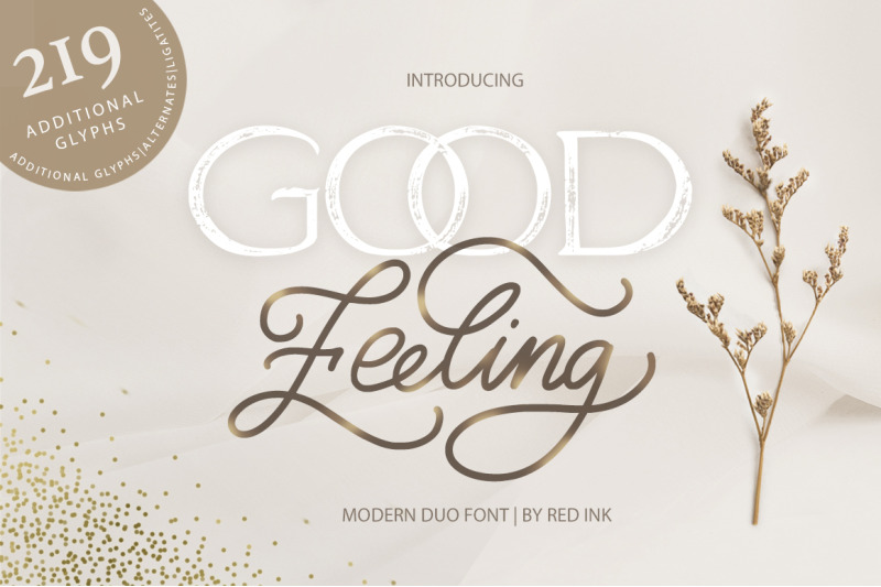 800_3587807_en2dr8zj302fss3raxkery71p6inpq7z6mm54lfw_good-feeling-modern-duo-font