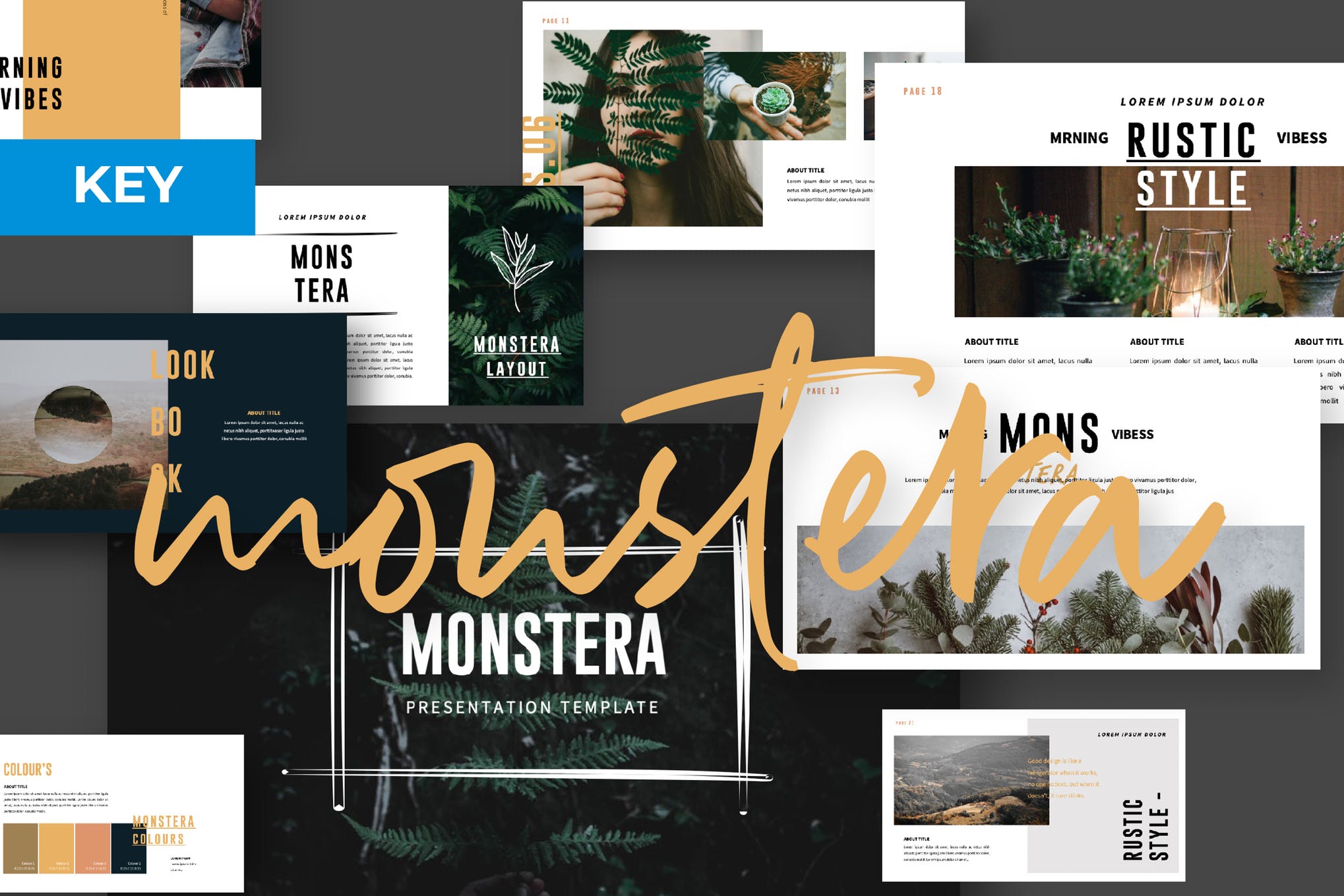 现代独特摄影企业营销PPT模板KEY幻灯片SLIDES演示文稿 MONSTERA Creative Powerpoint, Keynote and Google Slides Templates_img_2